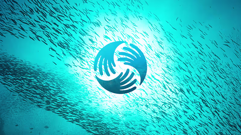 Cover image for National Ocean Protection Coalition