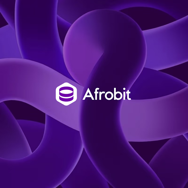 Cover image for AFROBIT BRANDING