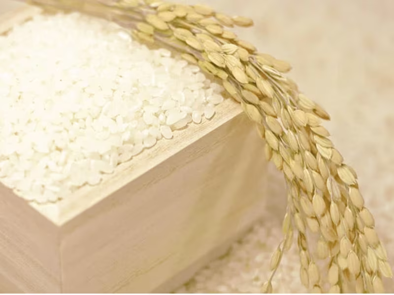Cover image for Everything You Need to Know About Japanese Rice