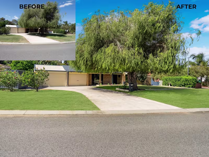 Cover image for Lawn Replacement