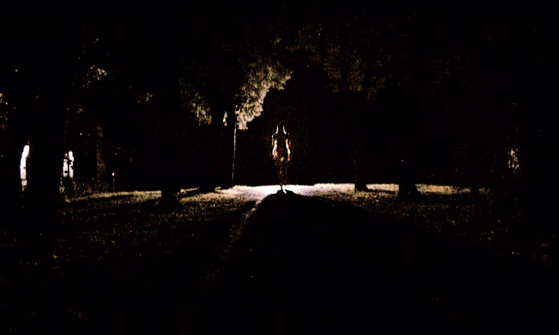 Cover image for NOT NOW - film still
