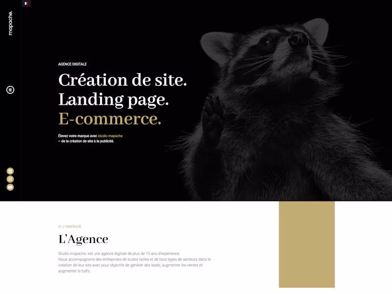 Cover image for studiomapache.com - Digital Agency