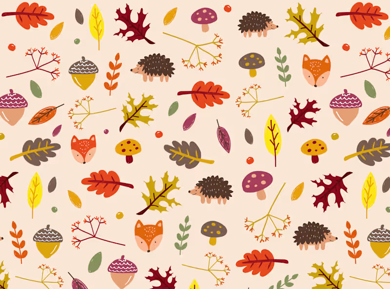 Cover image for Illustrated Patterns