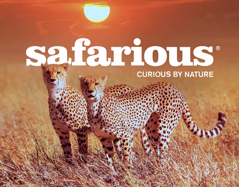 Cover image for Safarious. Curious By Nature