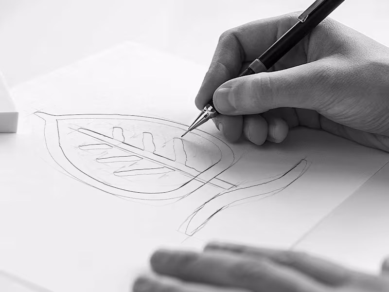 Cover image for Brand Visual Identity