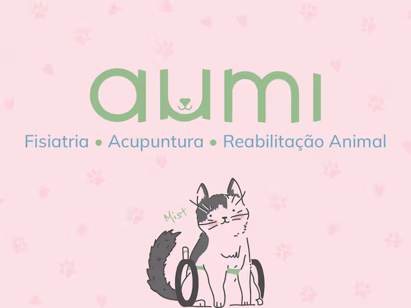 Cover image for Web Design for Aumi, a
