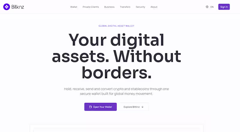 Cover image for BitKnz is a digital wallet