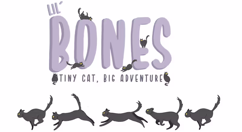 Cover image for Illustration & Book Layout