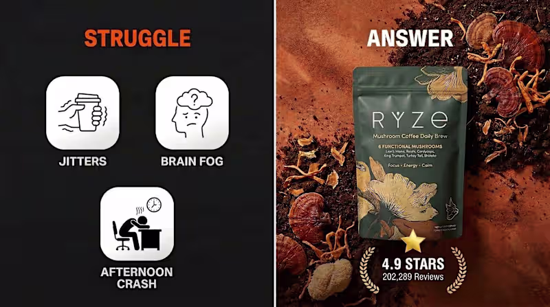 Cover image for RYZE Performance Case Study