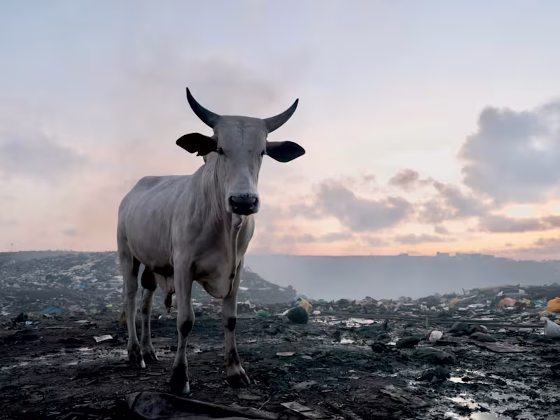Cover image for Clean Air Fund — Ghana
