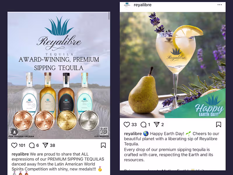 Cover image for Social Media & Copy Strategy for Reyalibre Premium Tequila