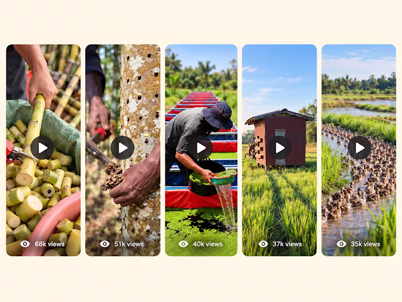 Cover image for 📱 Short-Form Video Editing | Reels, TikTok & Shorts,