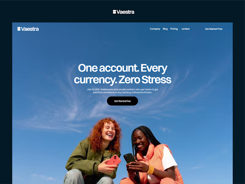 Cover image for Vaestra Fintech Marketing Website Design