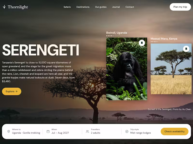 Cover image for WEB DESIGN
