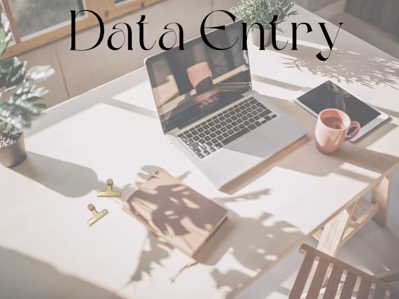 Cover image for Data Entry