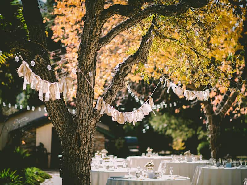 Cover image for Planning an at Home Wedding - Blog Article