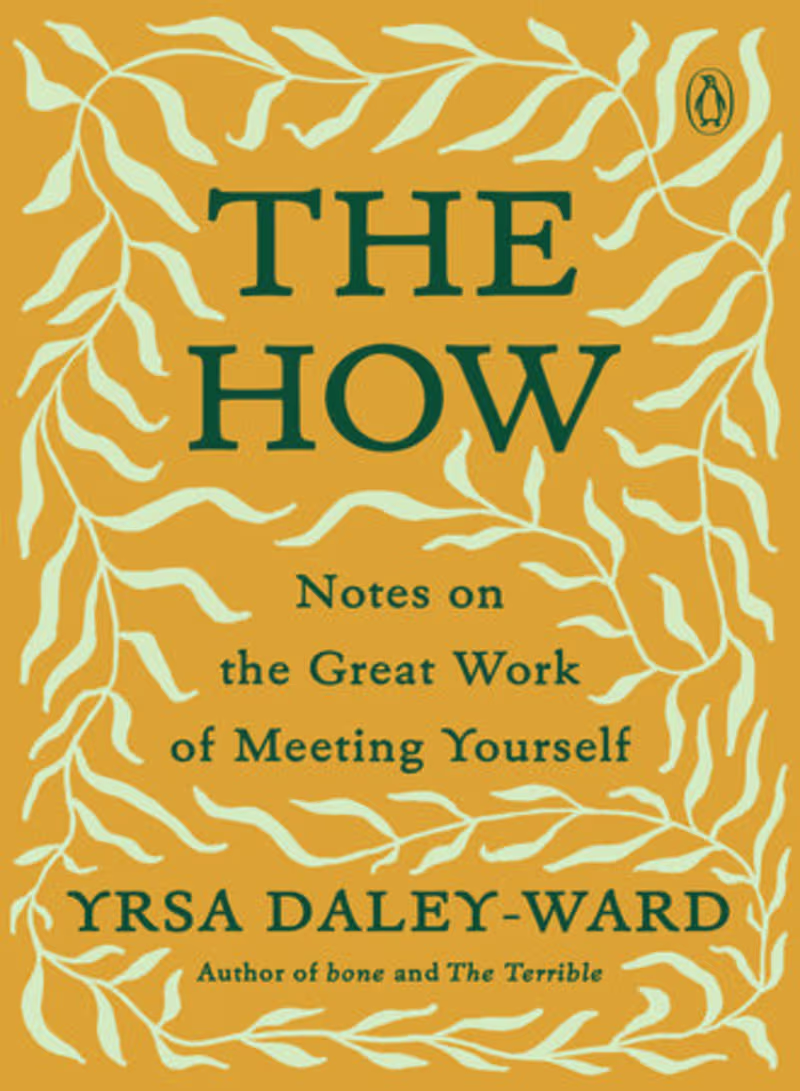 Cover image for The How (Penguin Books)