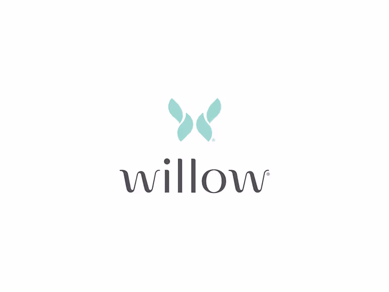 Cover image for Willow Saves $380k with Salesforce Fractional Team