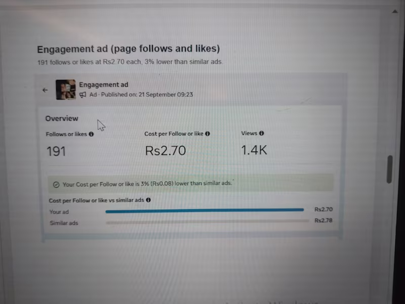 Cover image for Meta Ads Page Like &