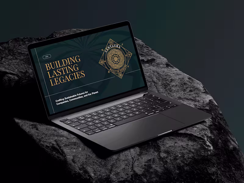 Cover image for A business presentation designed to