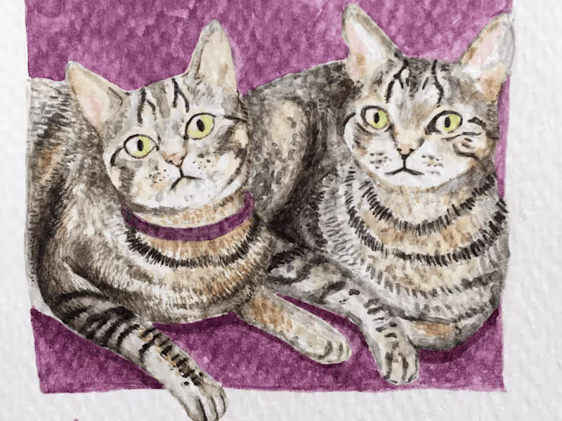 Cover image for Watercolor pet portraits