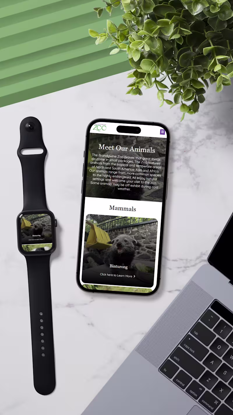 Cover image for Brandywine Zoo Redesign - Elementor