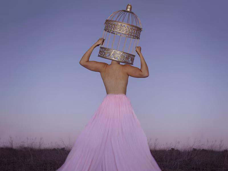 Cover image for This image is called "Cages