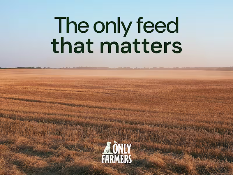 Cover image for Only Farmers: An Identity Designed to Be Given Away