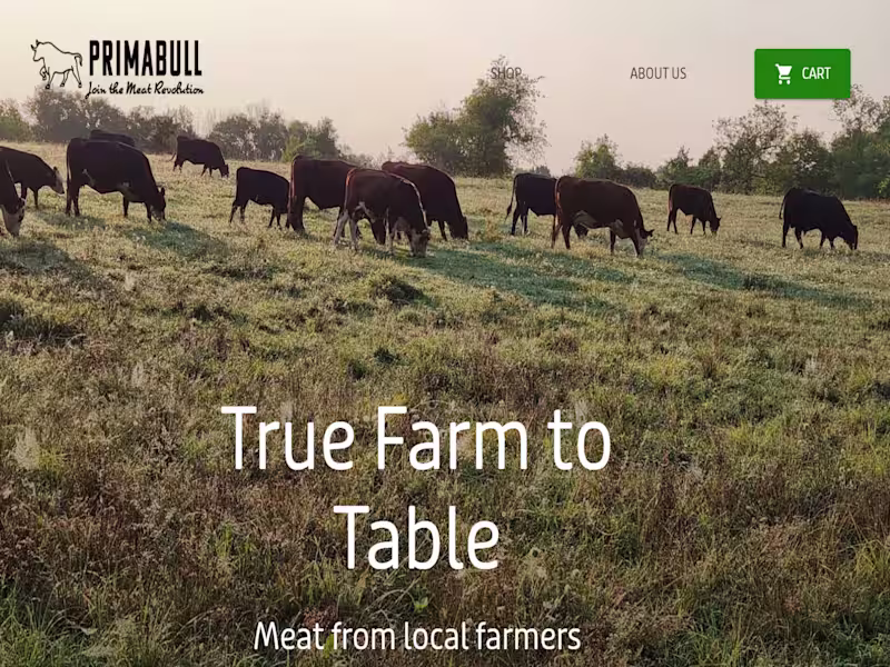 Cover image for Primabull.co