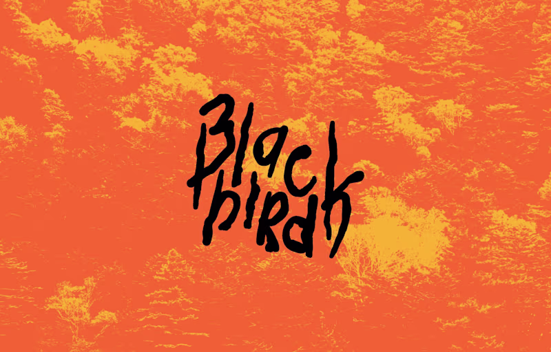 Cover image for Black Bird Branding - Logo