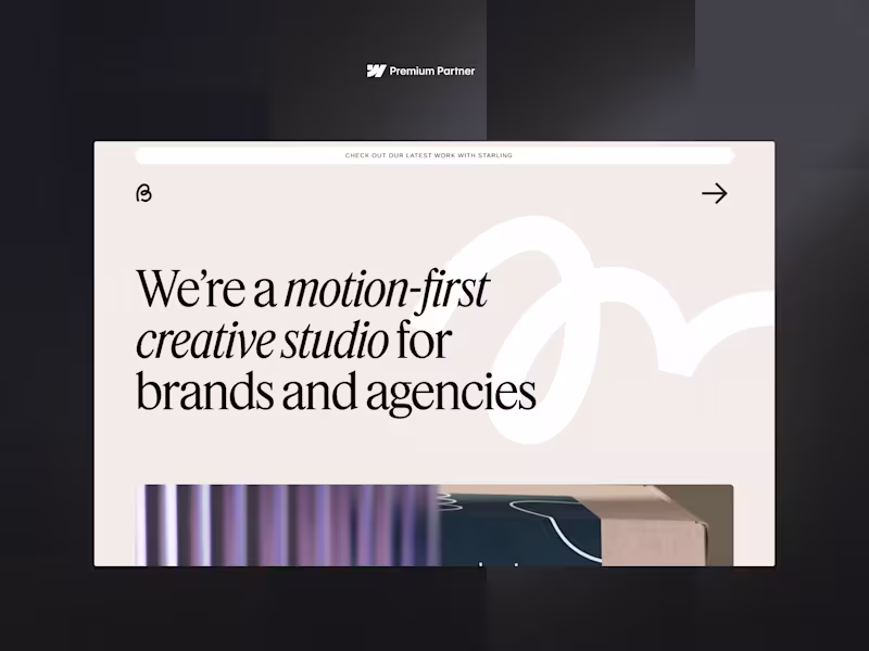 Cover image for Seed Website: Webflow design and build for funded startups