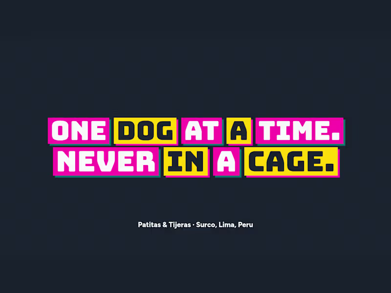 Cover image for Patitas & Tijeras: from "can