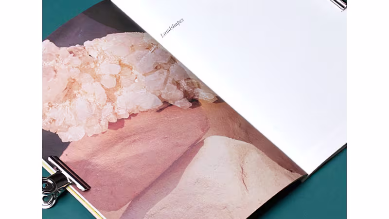 Cover image for JOV