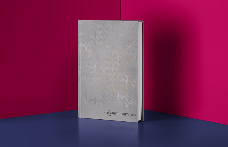 Cover image for Pixantenna | Brand Identity | 2020