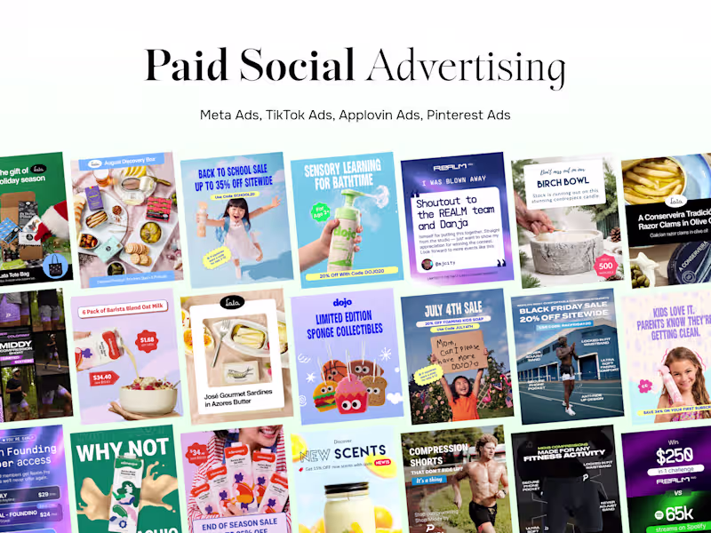 Cover image for Paid Social Media Advertising