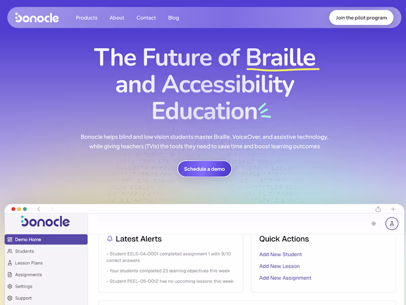 Cover image for Braille website