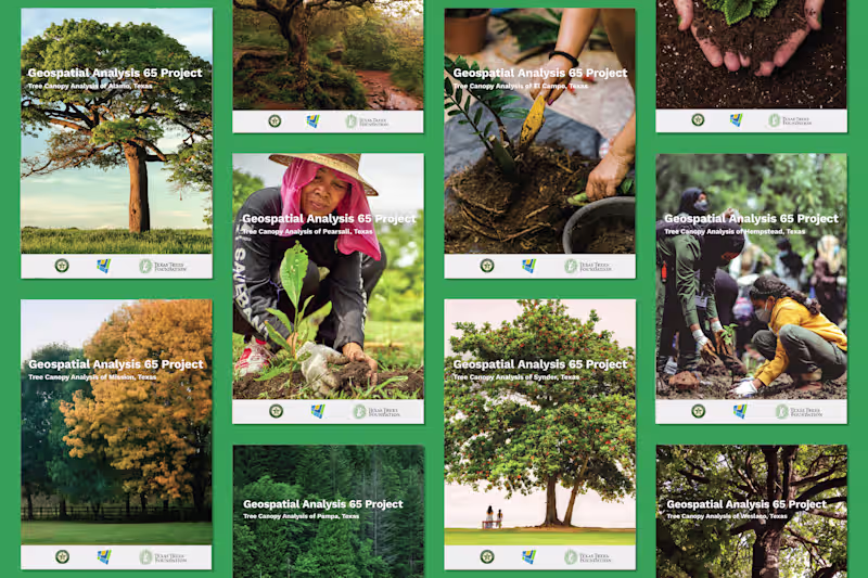 Cover image for Texas Trees Foundation |  Report Design