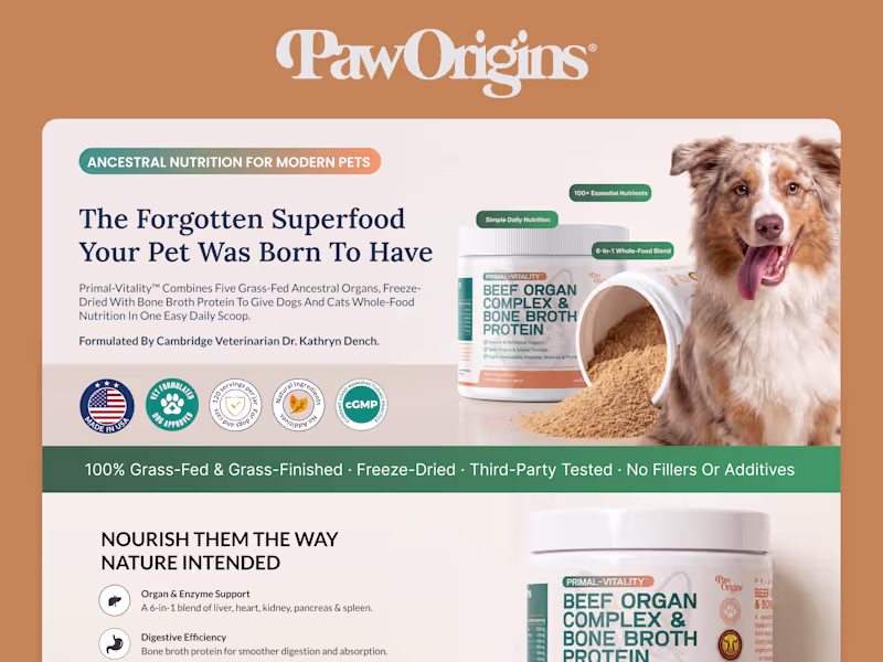 Cover image for Full Creative and Content Systems for DTC Pet brand