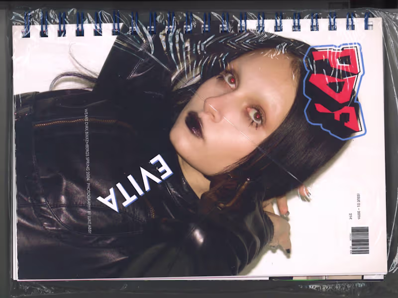 Cover image for The inspiration comes from magazines