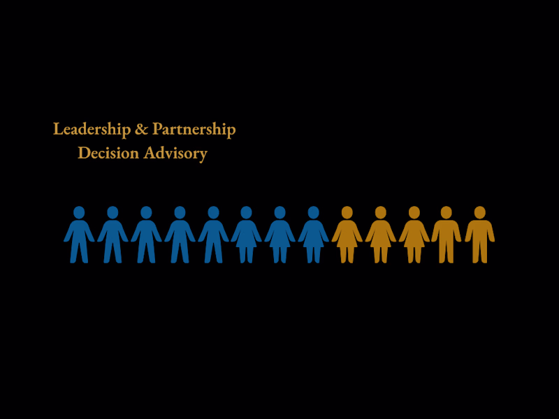 Cover image for Leadership & Partnership Decision Advisory