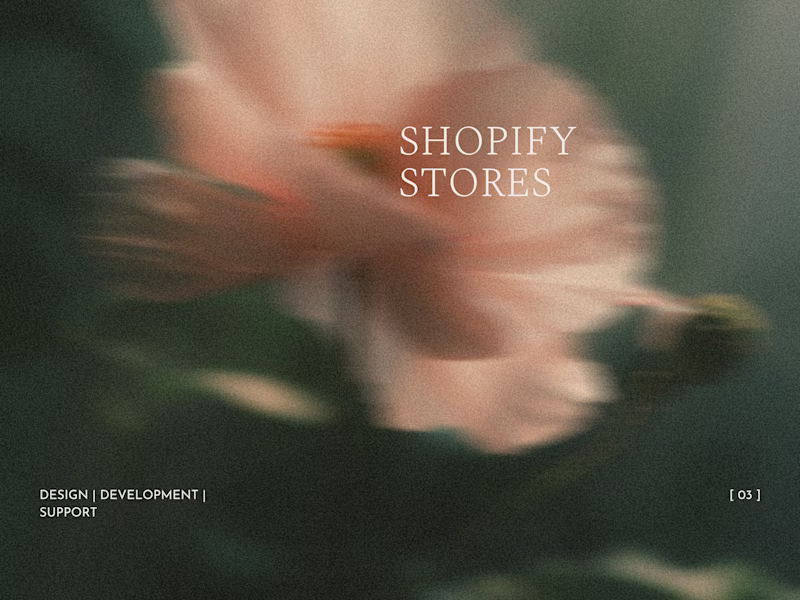 Cover image for Shopify Online Stores