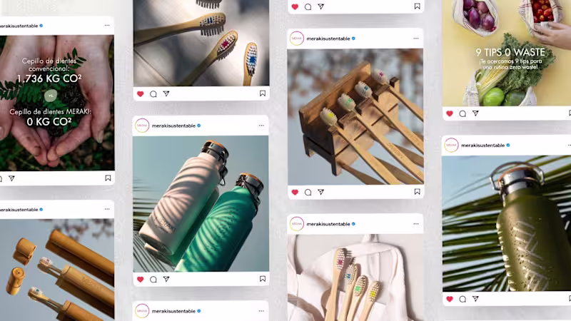 Cover image for Meraki — Digital Presence and B2B Platform