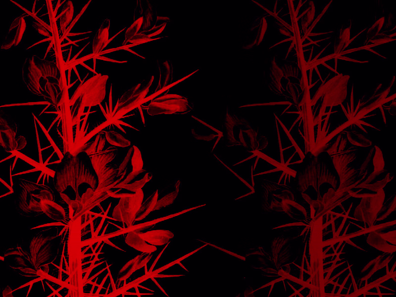 Cover image for ulexproject.org