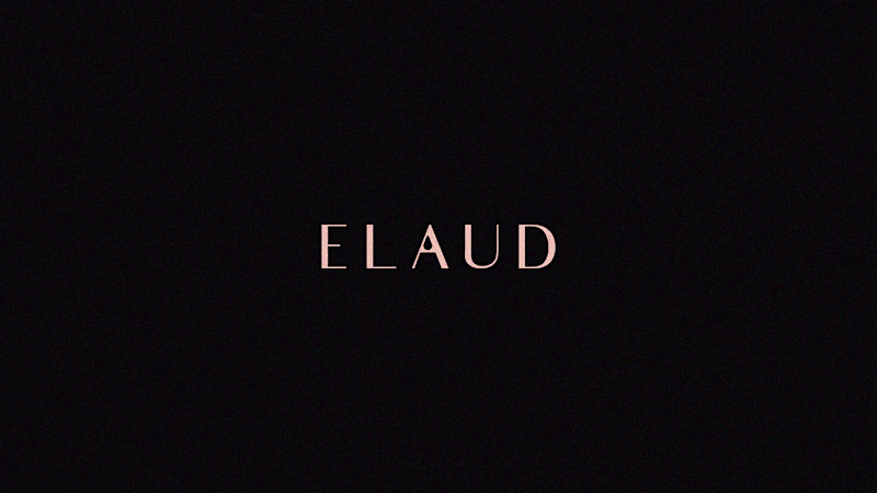 Cover image for Beauty Brand Style Guide (ELAUD)