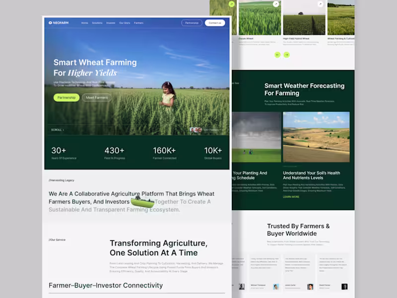Cover image for A Powerfull Minimal Farming Landing