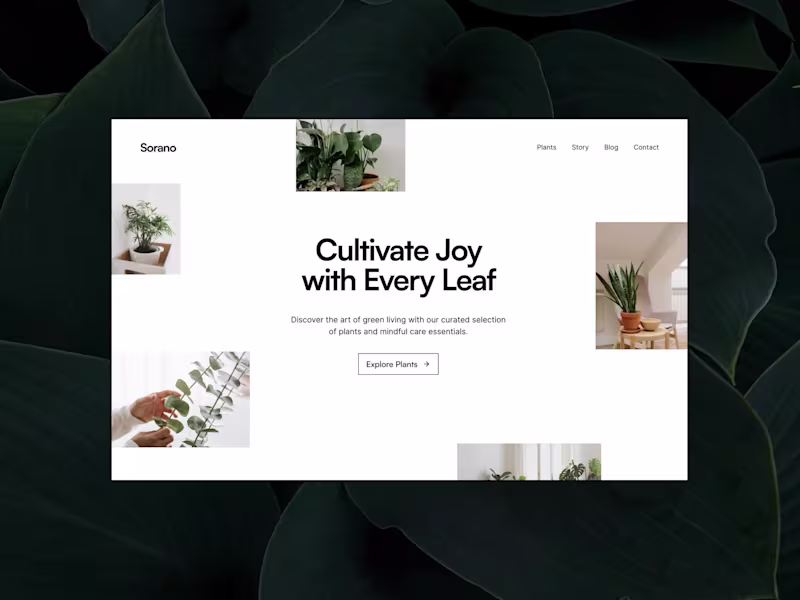 Cover image for ✦ Framer Website (Design + Development)