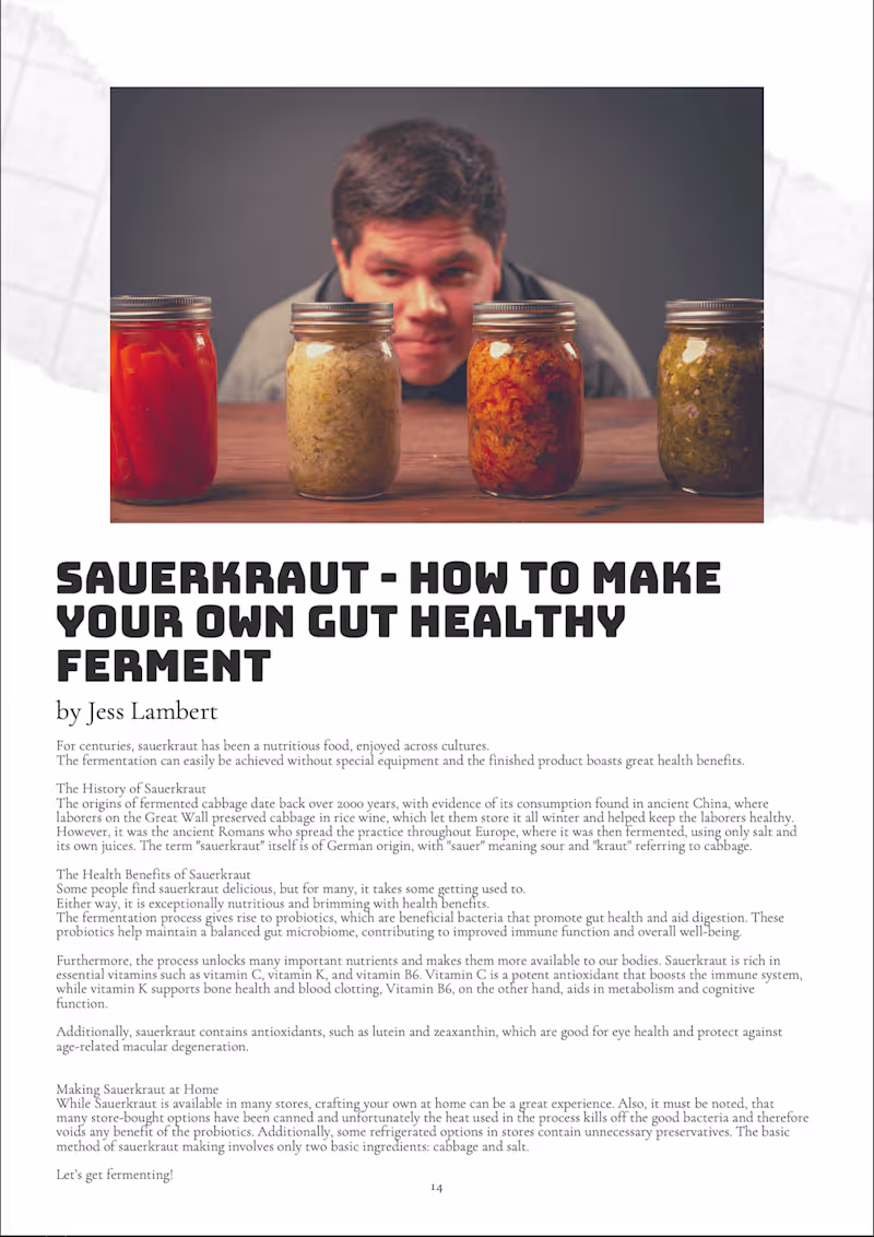 Cover image for The Modern Day Homemaker Magazine - Article