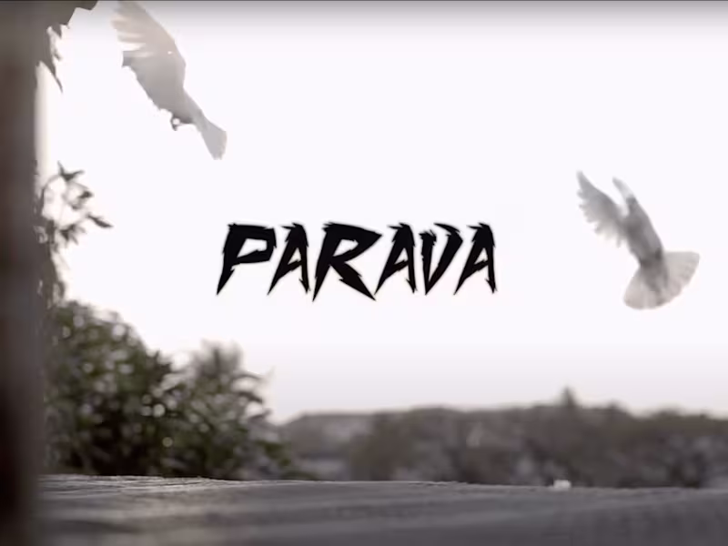 Cover image for Music Video