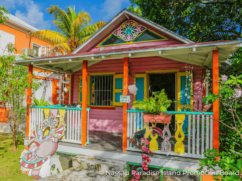 Cover image for Island Life in The Bahamas - Sustainable Caribbean