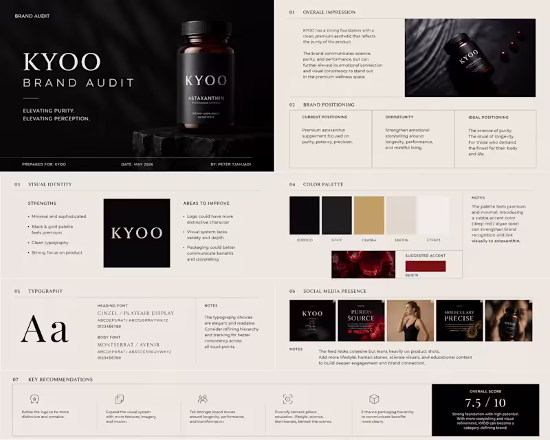 Cover image for Luxury Brand Audit